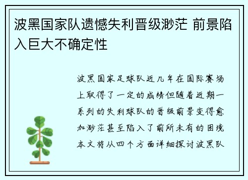 波黑国家队遗憾失利晋级渺茫 前景陷入巨大不确定性