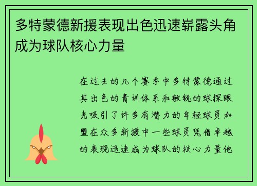 多特蒙德新援表现出色迅速崭露头角成为球队核心力量